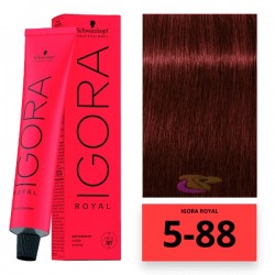 Schwarzkopf Igora Royal hajfesték, 60 ml 5-88 Schwarzkopf Igora Royal hajfesték, 60 ml 5-88