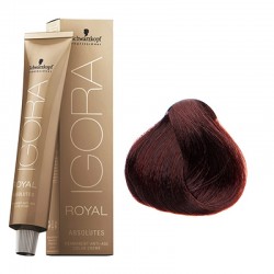 Schwarzkopf Igora Royal Absolutes hajfesték, 60 ml 4-80 Schwarzkopf Igora Royal Absolutes hajfesték, 60 ml 4-80