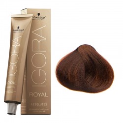 Schwarzkopf Igora Royal Absolutes hajfesték, 60 ml 5-70 Schwarzkopf Igora Royal Absolutes hajfesték, 60 ml 5-70
