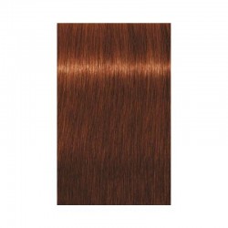 Schwarzkopf Igora Royal Absolutes hajfesték, 60 ml 6-70 Schwarzkopf Igora Royal Absolutes hajfesték, 60 ml 6-70
